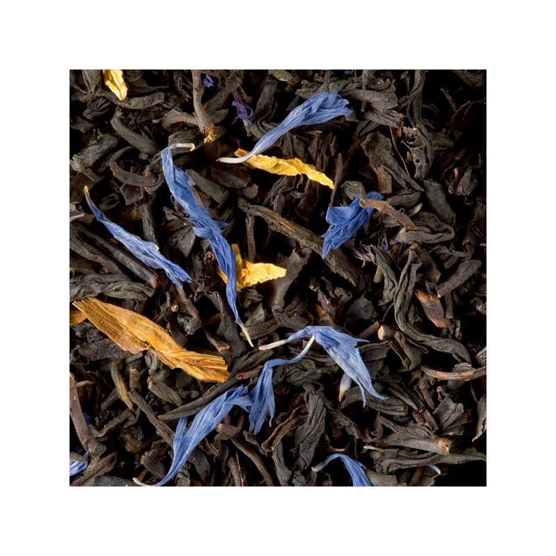 jardin-bleu--24-tb-2.webp
