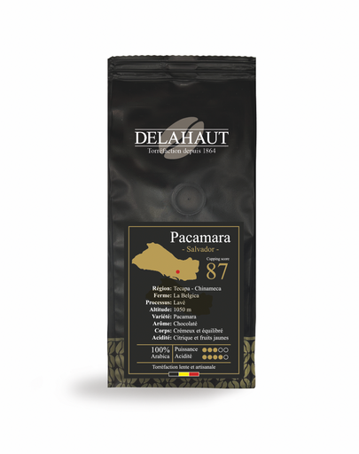 Pacamara